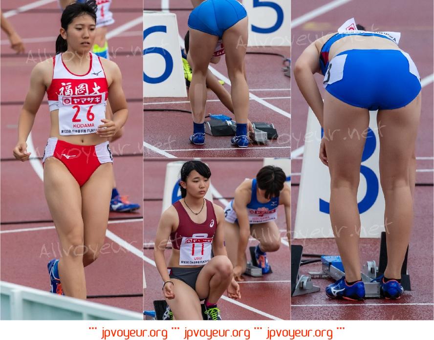 陸上競技写真集 (ブルマ)No.61-232