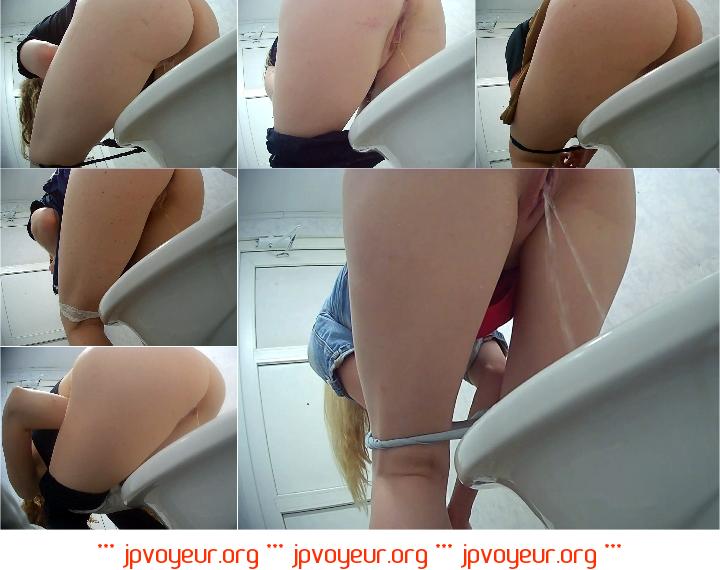 Western Beach Toilet 1