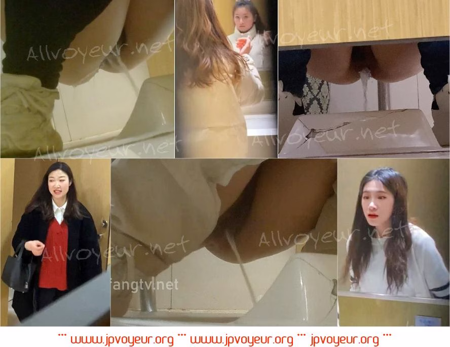 【厕拍】极品高清后拍 众多美鲍女神小姐姐（5）[某房原版]