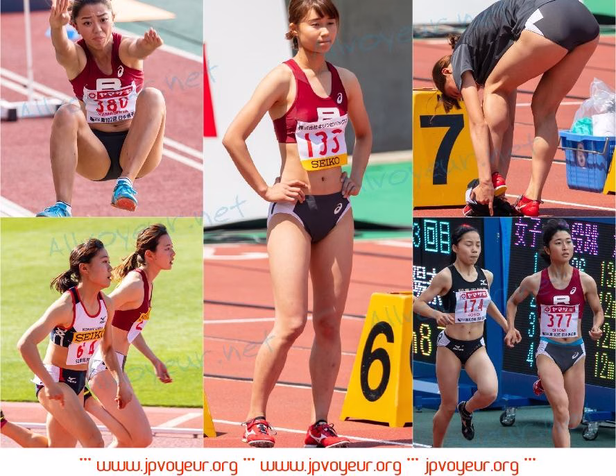 TAF18-1 [992P/1GB]