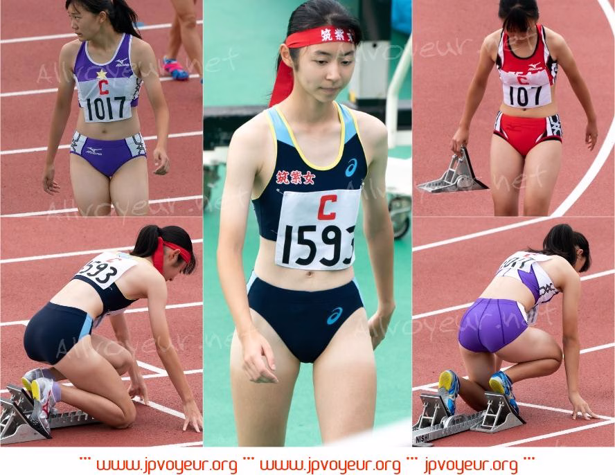 TAF18-1 [992P/1GB]